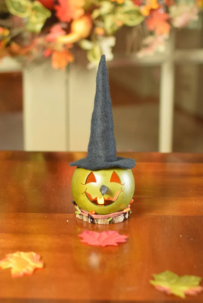 Fiona Witch Gourd - Available in Multiple Sizes