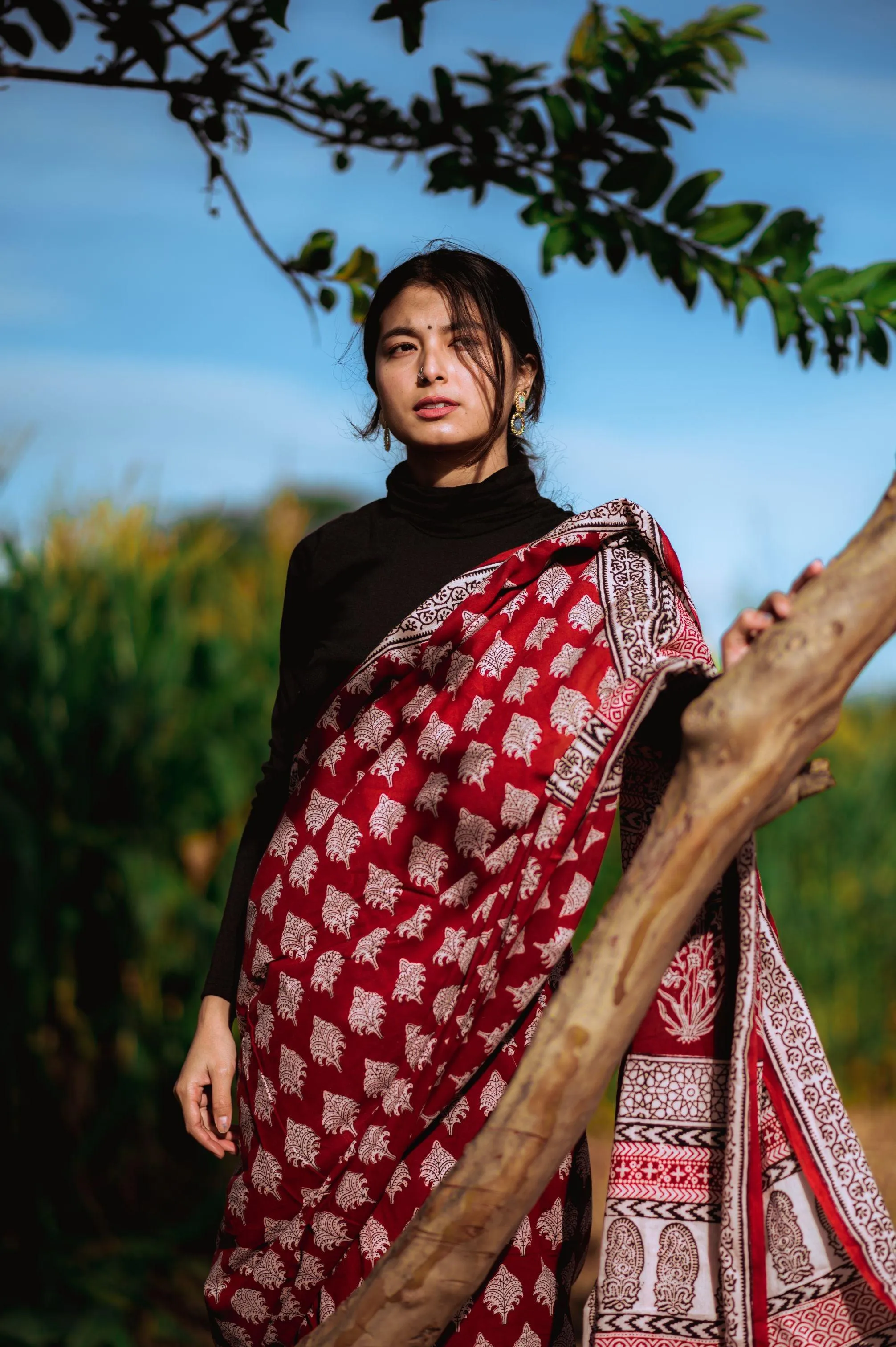 Kaisori Nandana Bagh handblockprinted cotton saree