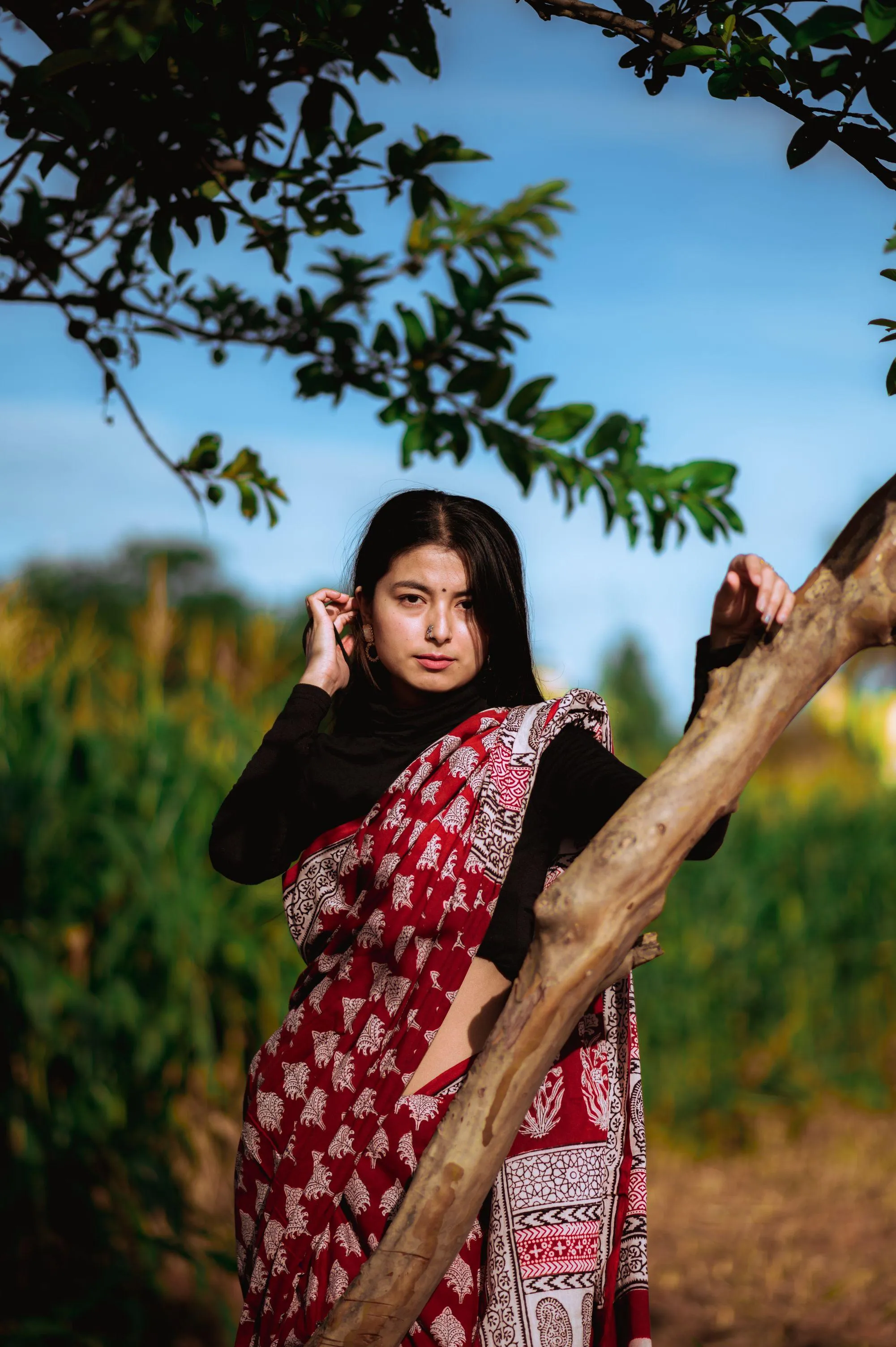 Kaisori Nandana Bagh handblockprinted cotton saree