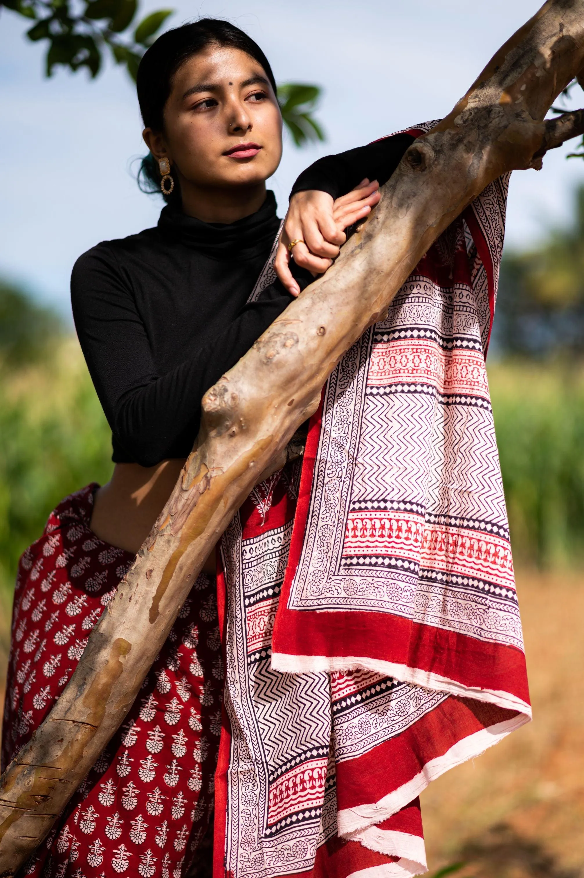 Kaisori Nandana - Maithir Bagh handblockprinted cotton saree