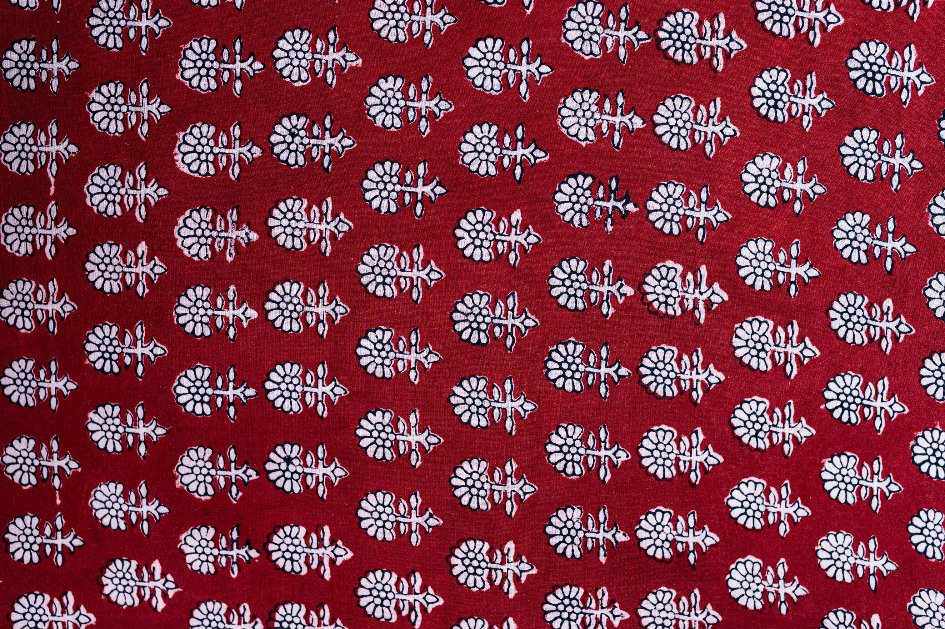 Kaisori Nandana - Maithir Bagh handblockprinted cotton saree