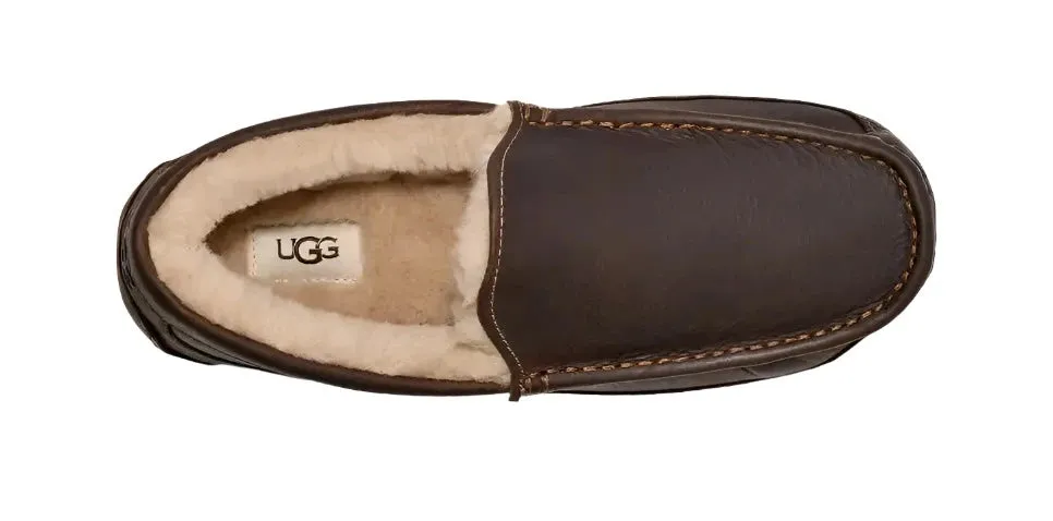 UGG ASCOT WIDE MEN'S