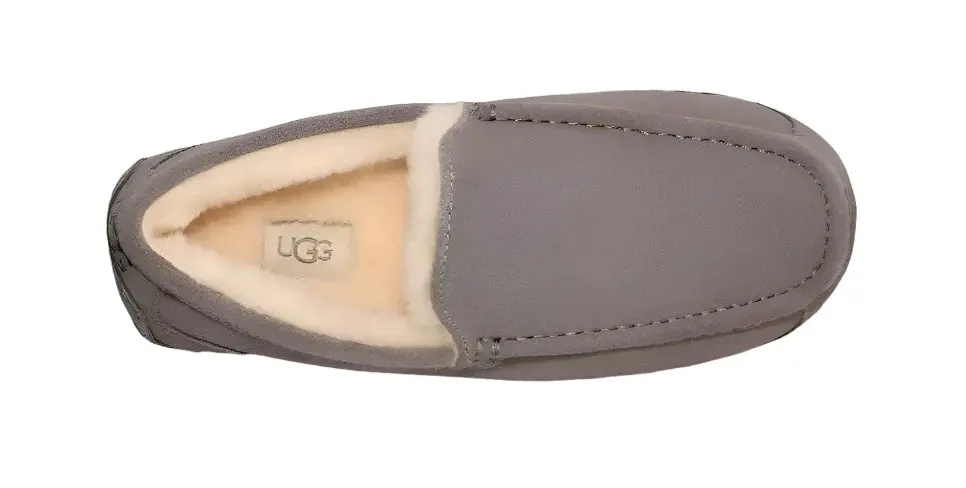 UGG ASCOT WIDE MEN'S